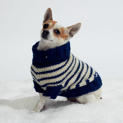Striped Knit Dog Coat