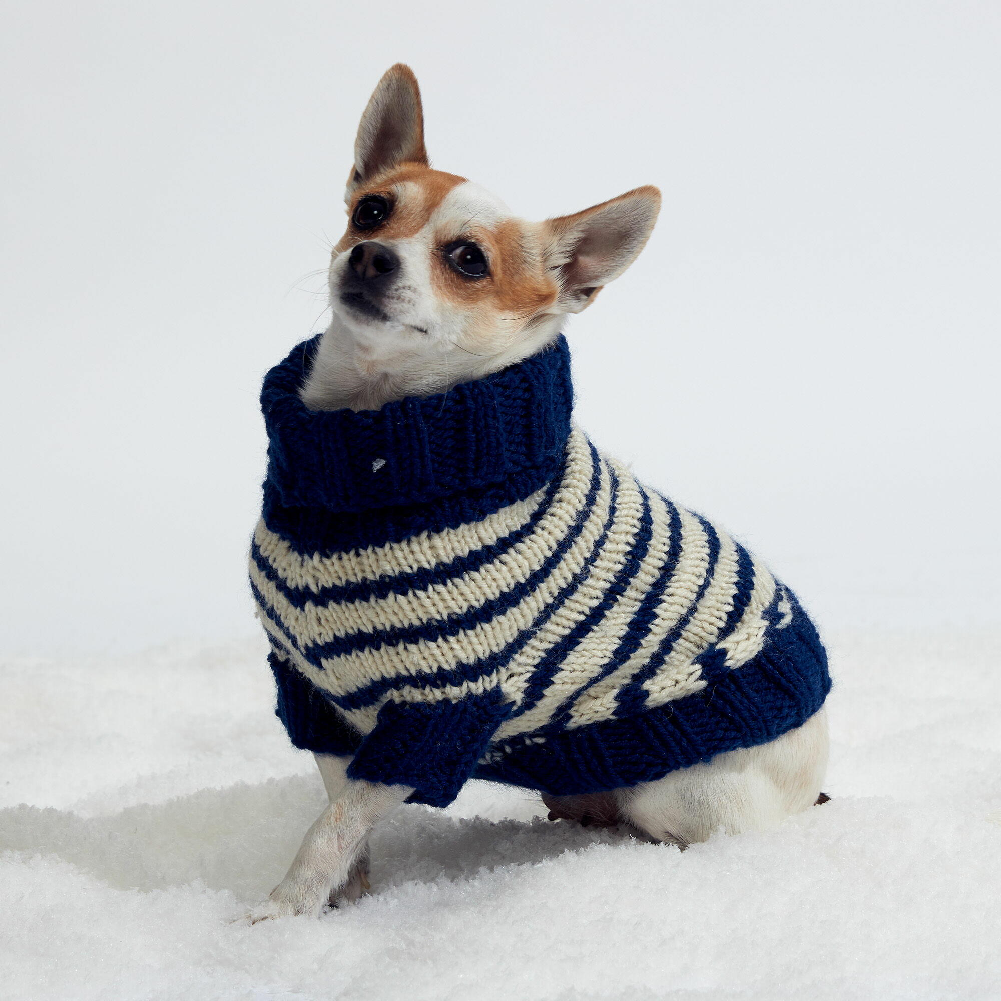 Striped Knit Dog Coat | AllFreeKnitting.com striped-knit-dog-coat-allfreeknitting-com