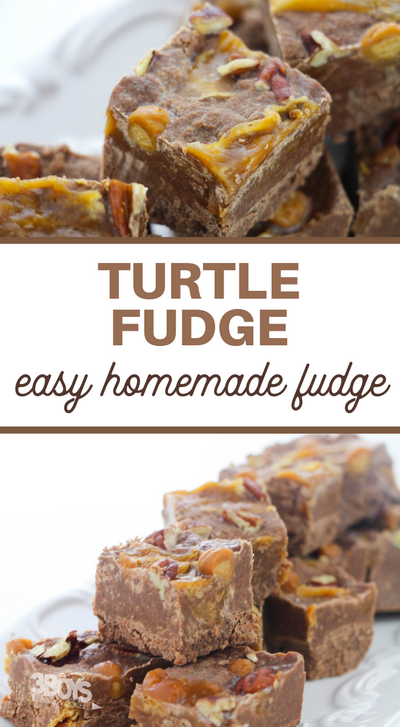 Simple Turtle Fudge Recipe