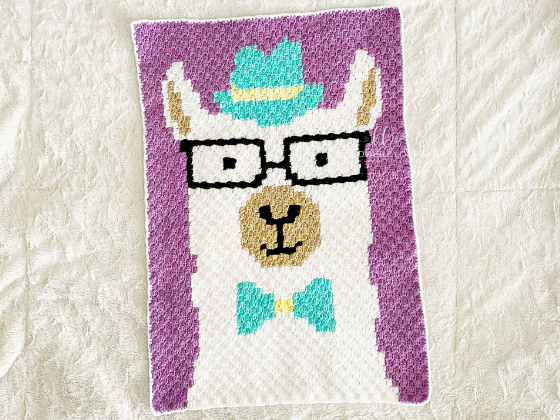 Hipster Llama