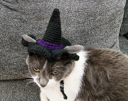 Cat Crochet Witch Hat Pattern 