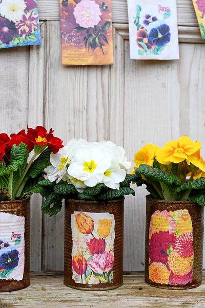 Vintage Seed Packet Planters