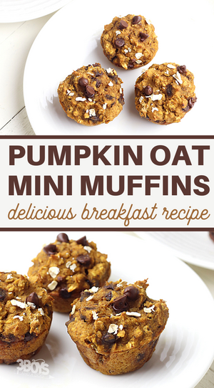 Mini Pumpkin Oat Muffins Perfect For Fall