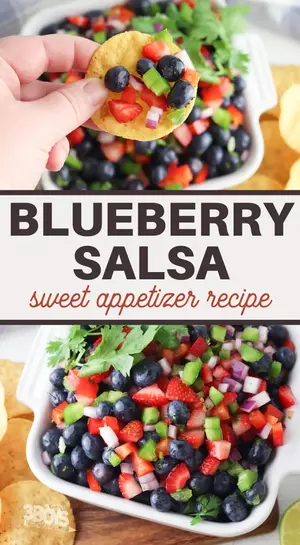 Sweet And Spicy Blueberry Salsa Recipe
