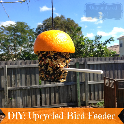 Diy: Upcycled Bird Feeder