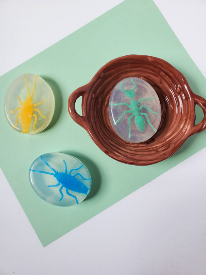 Bug Homemade Soap For Kids | DIYIdeaCenter.com