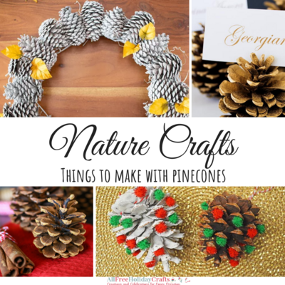 Things to Make with Pine Cones