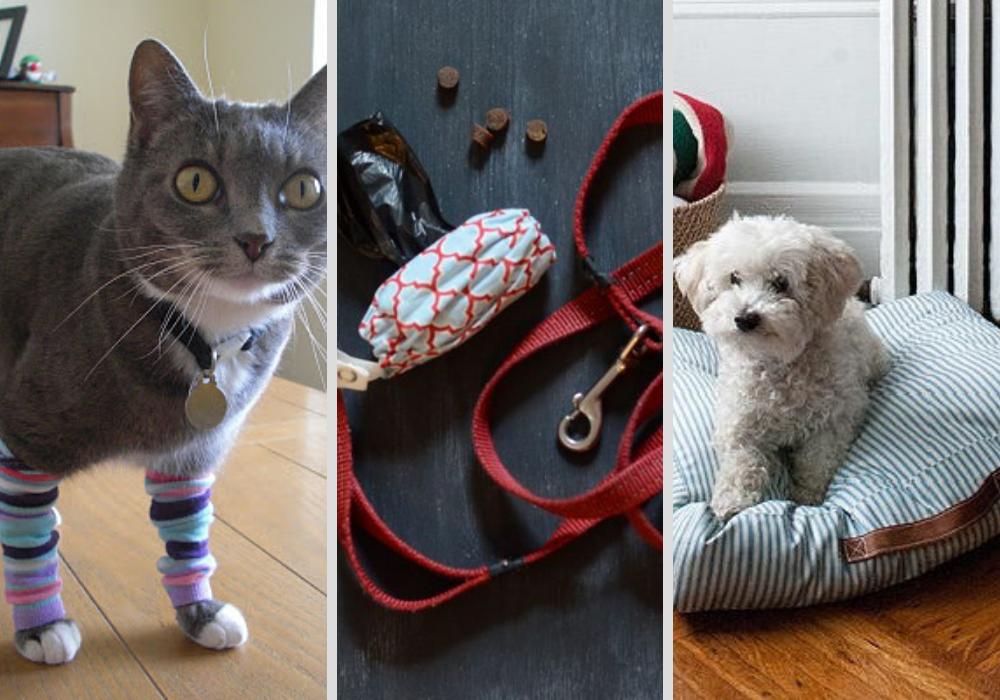 16 Pet Sewing Patterns (That Are Dog-Gone Purrfect) | AllFreeSewing.com