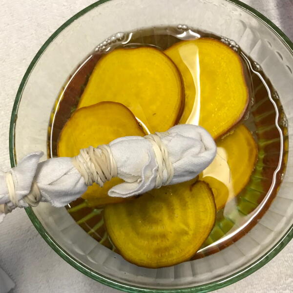 把织物浸在新鲜的黄色甜菜染料中。＂title=