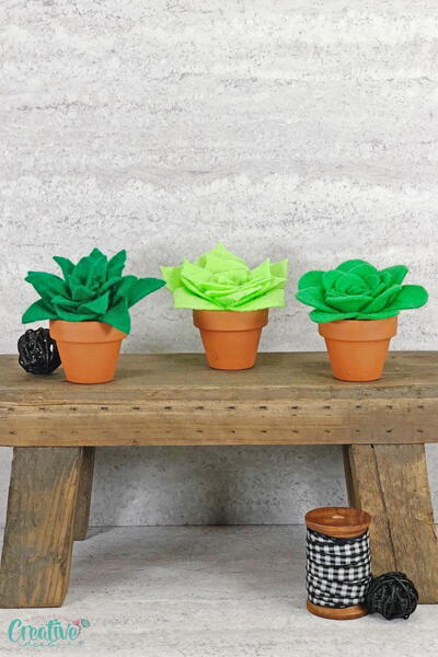 Felt Succulent Plants With Pdf Template