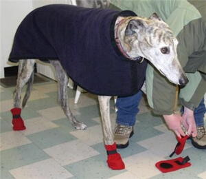 Sew Your Own Winter Dog Boots