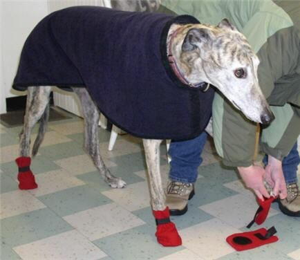 Sew Your Own Winter Dog Boots