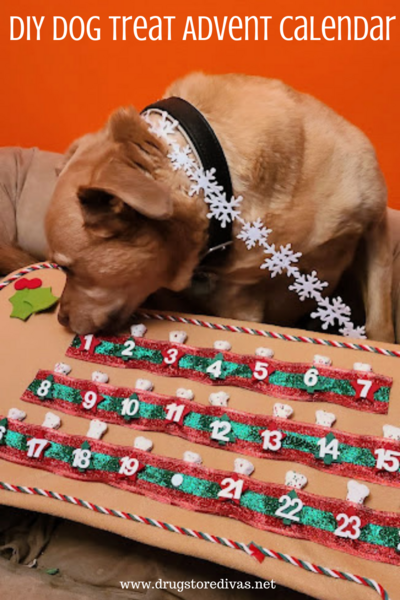 Dog Advent Calendar