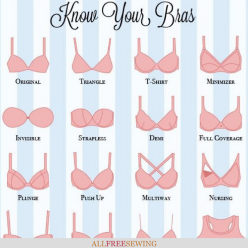 Types Of Bra Chart