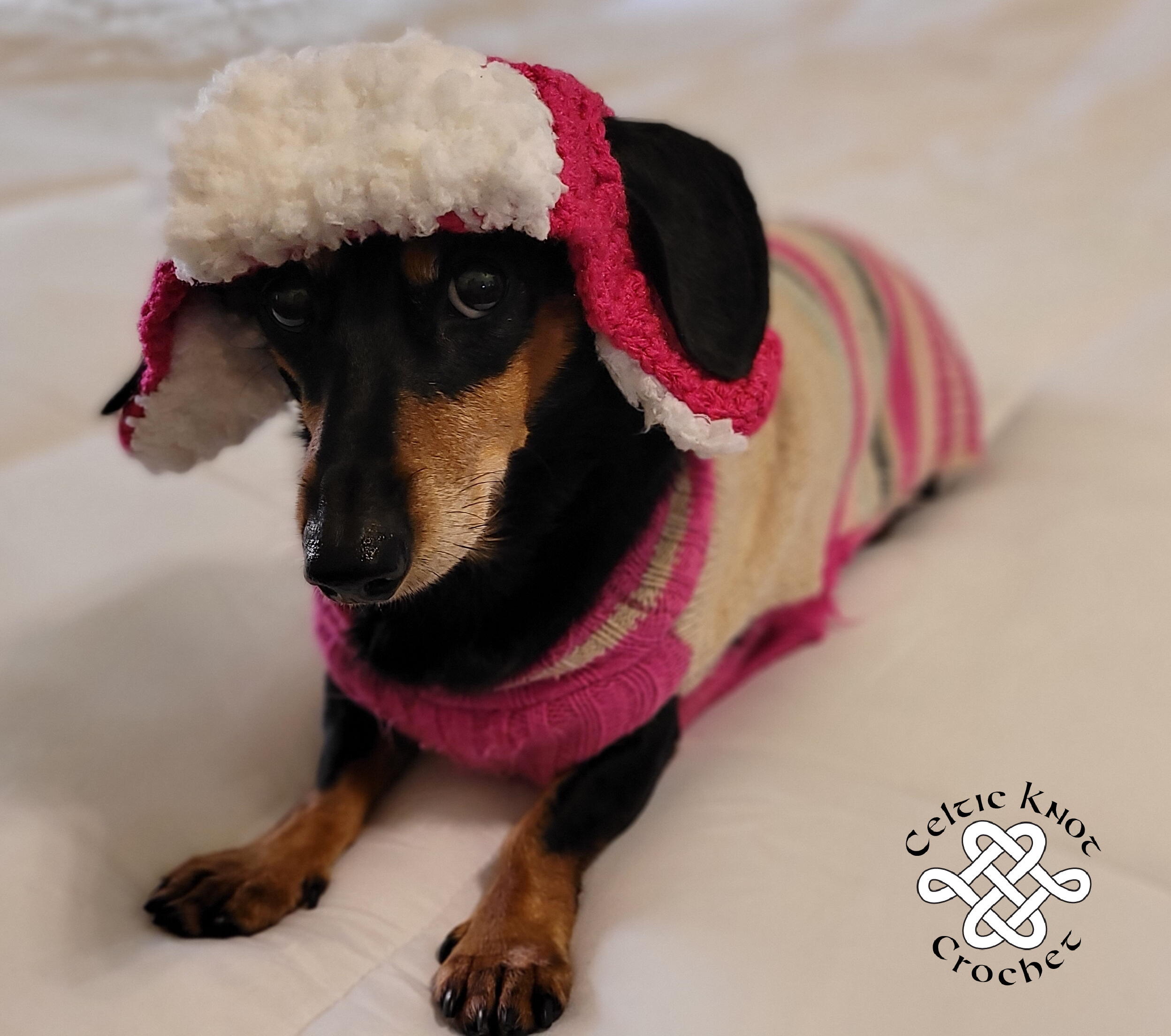 Doggie Bomber Hat | AllFreeCrochet.com