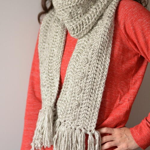 Chunky Cozy Scarf | AllFreeCrochet.com