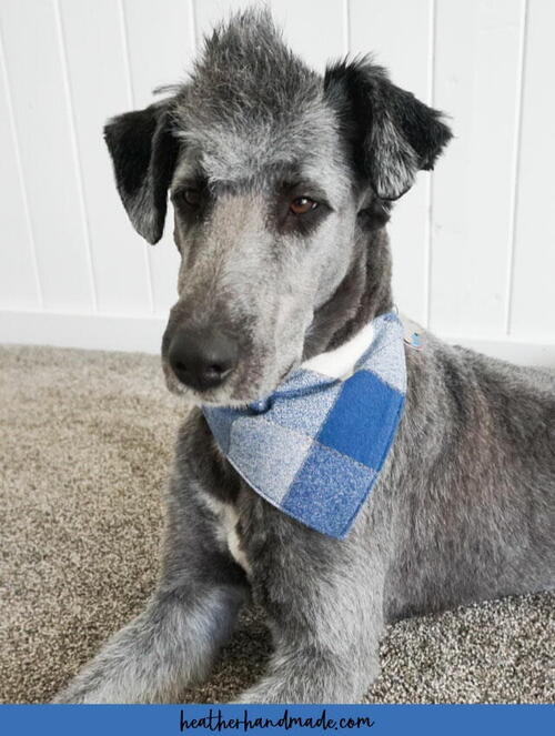 Free Dog Bandana Sewing Pattern