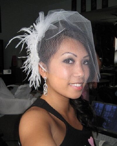 DIY Birdcage Veil