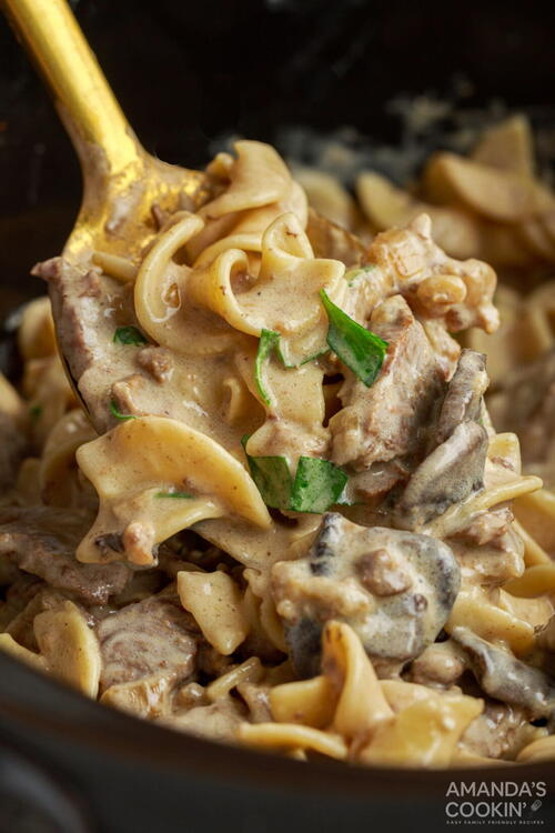 Beef Stroganoff | AllFreeSlowCookerRecipes.com