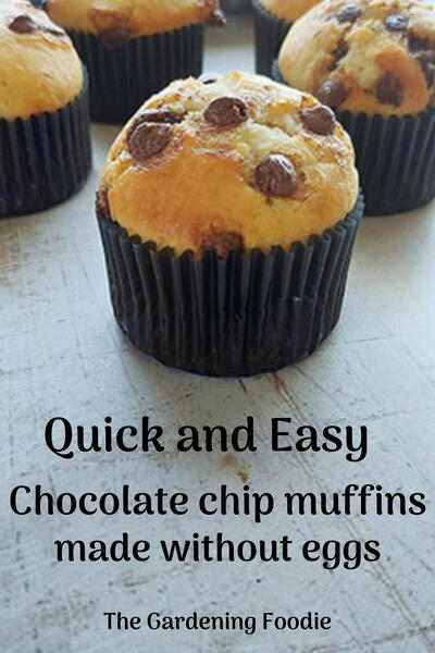 Quick Easy Chocolate Chip Muffins – Without Eggs