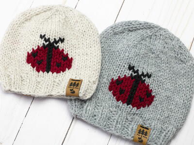 Ladybug Worsted Weight Beanie Hat For The Whole Family