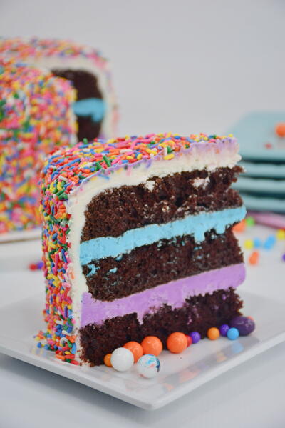  It's The Best Rich Layered Cake Covered In Sprinkles