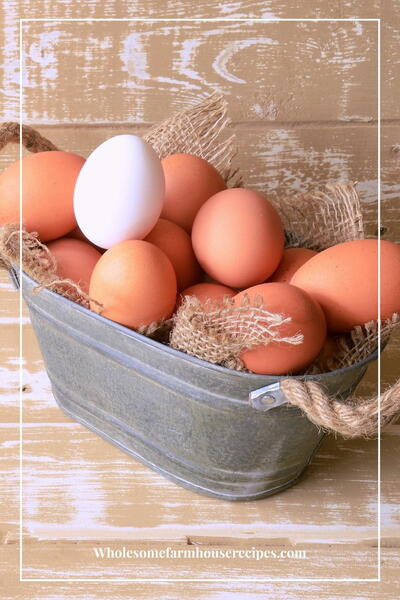 How To Store Fresh Eggs