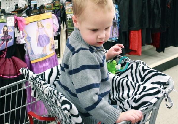 Shopping Cart Cover Sewing Pattern & Video (Free!) | AllFreeSewing.com shopping-cart-cover-sewing-pattern-video-free-allfreesewing-com