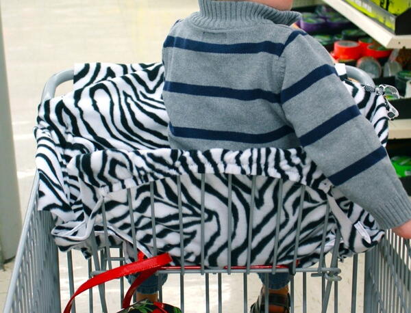 Shopping Cart Cover Sewing Pattern & Video (Free!) | AllFreeSewing.com shopping-cart-cover-sewing-pattern-video-free-allfreesewing-com