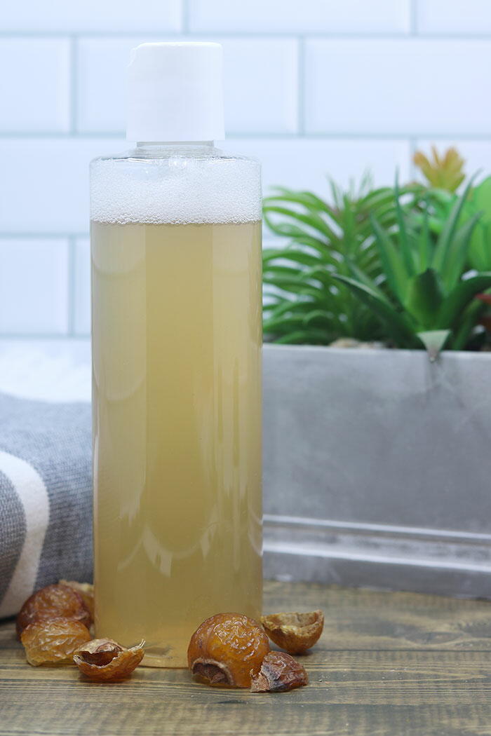 How To Make Soapnut Shampoo Recipe