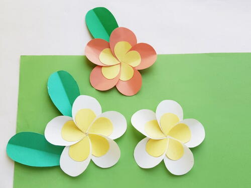 Plumeria Flower Paper Craft