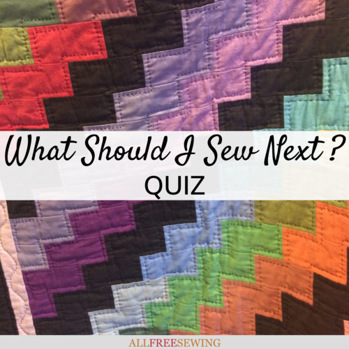 What Should I Sew Next Quiz