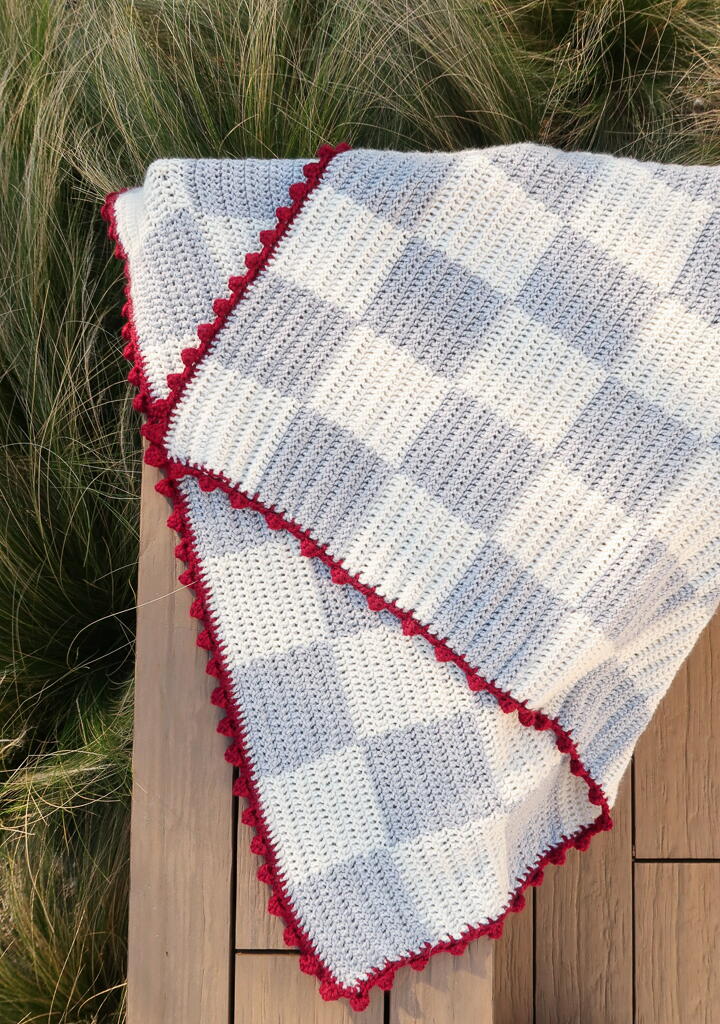 Picnic Blanket | AllFreeCrochet.com