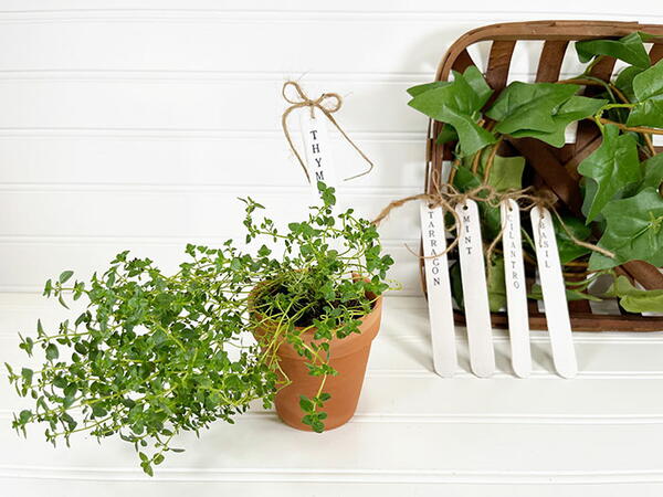 Popsicle Stick Herb Markers