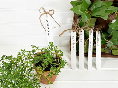 Popsicle Stick Herb Markers