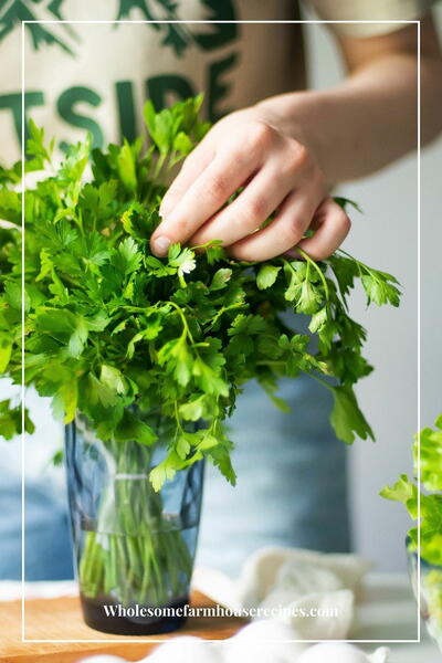 How Long Does Cilantro Last And How To Store