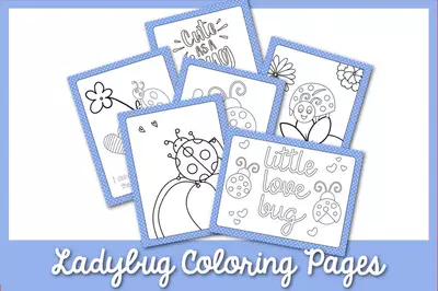 The Cutest Ladybug Coloring Pages