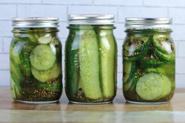 Refrigerator Garlic Dill Pickles