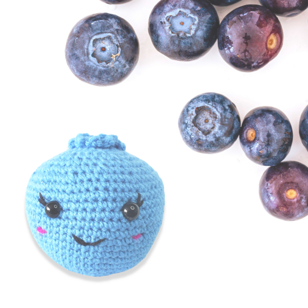 Blueberry Amigurumi