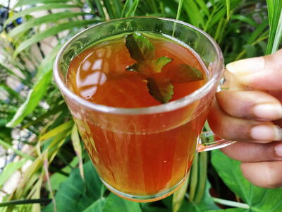 Honey Lemon Tea Recipe | Simple Mug Beverage