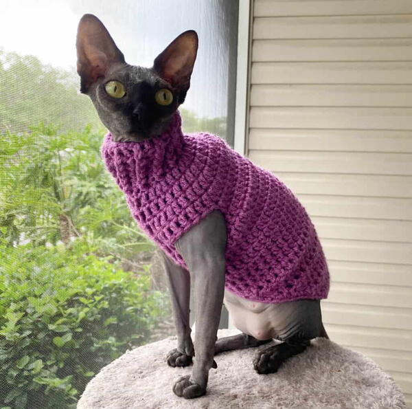 Crochet Cat Sweater AllFreeCrochet crochet-cat-sweater-allfreecrochet