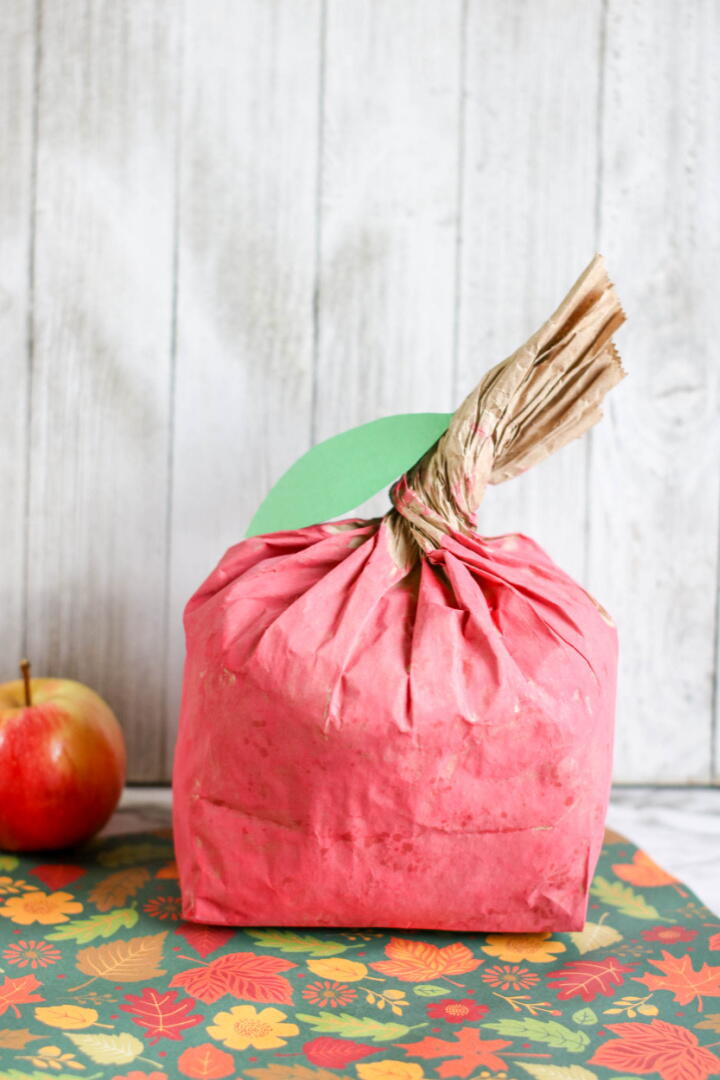 Apple Paper Bag Craft | AllFreeKidsCrafts.com