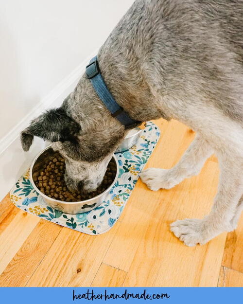 DIY Dog Bowl Mat