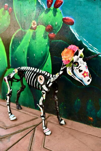 DIY Skeleton Animals