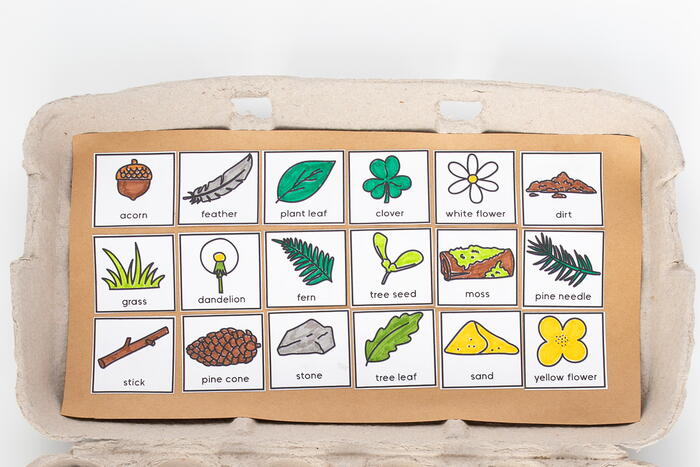 Egg Carton Scavenger Hunt | FaveCrafts.com