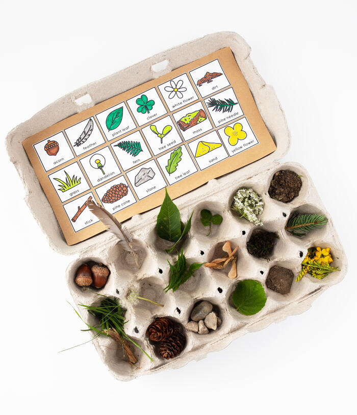 Egg Carton Scavenger Hunt | FaveCrafts.com