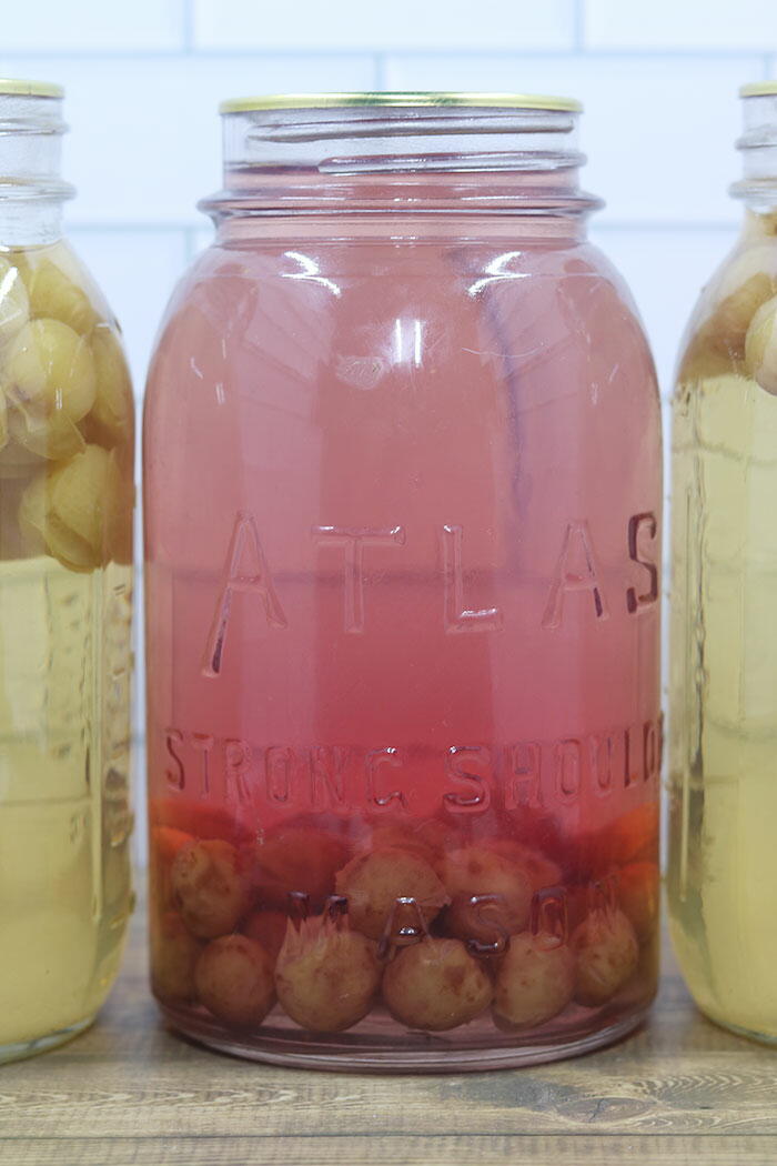 Cold Packing Tomatoes