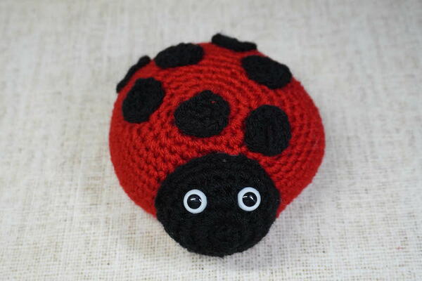 Liliana Ladybug