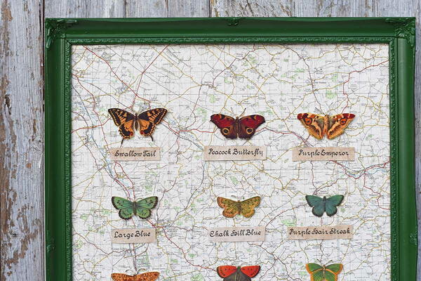 Vintage Butterfly Wall Art