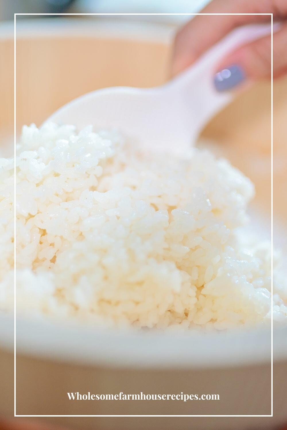 How To Make Sushi Rice In A Rice Cooker